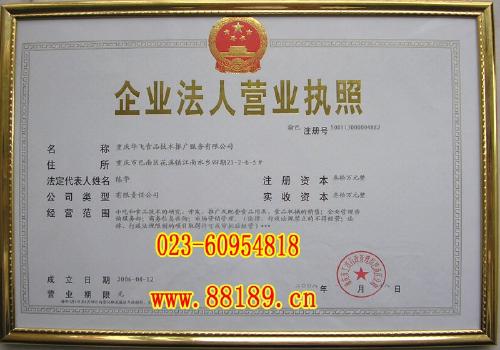 重庆华飞食品技术推广服务资质与经济信息咨询解析