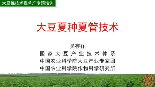 大豆推广技术提单产专题培训月 经济信息咨询助力农业增效